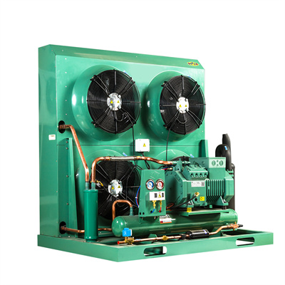 Bitzer Chiller