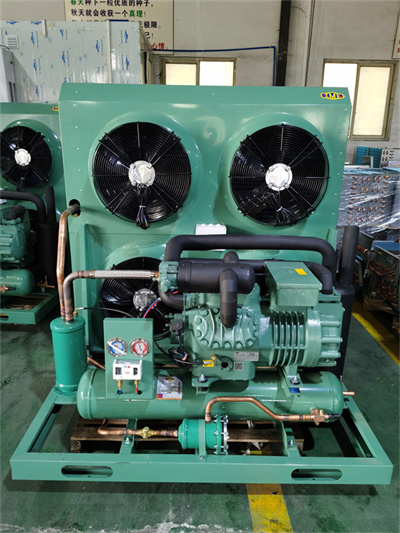 Bitzer Condensing Unit