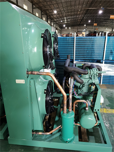 Bitzer Compressor Condensing Unit