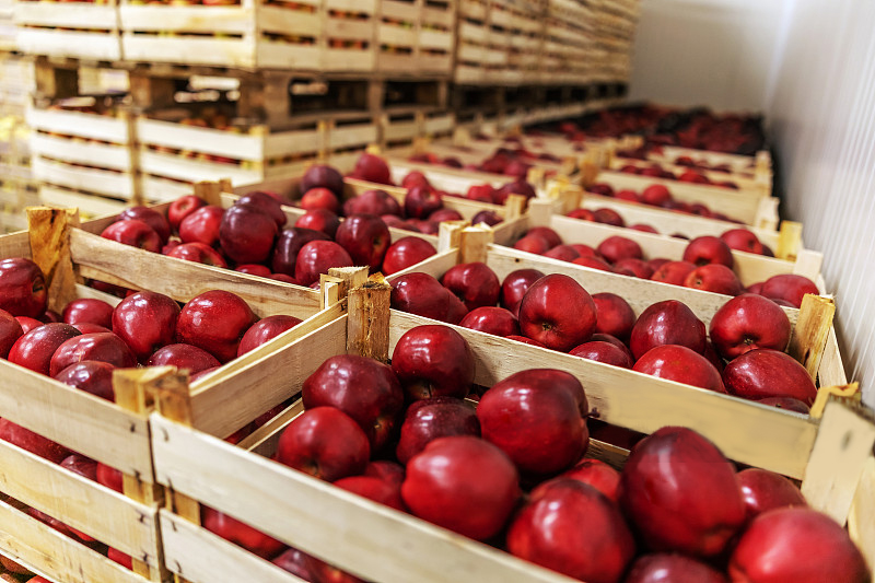 Fruit cold storage 5.jpg