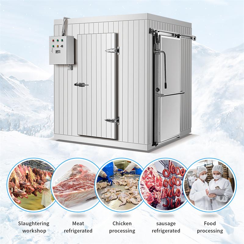 Meat Freezer/ Pork Freezer/ Blast Freezer/ Chiller - China Huge Cold Room,  Cold Storage