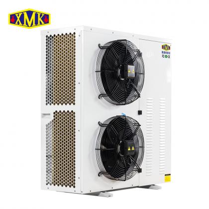 DIU series Box-type condensing Unit With Invotech DC Inverter Scroll Compressor